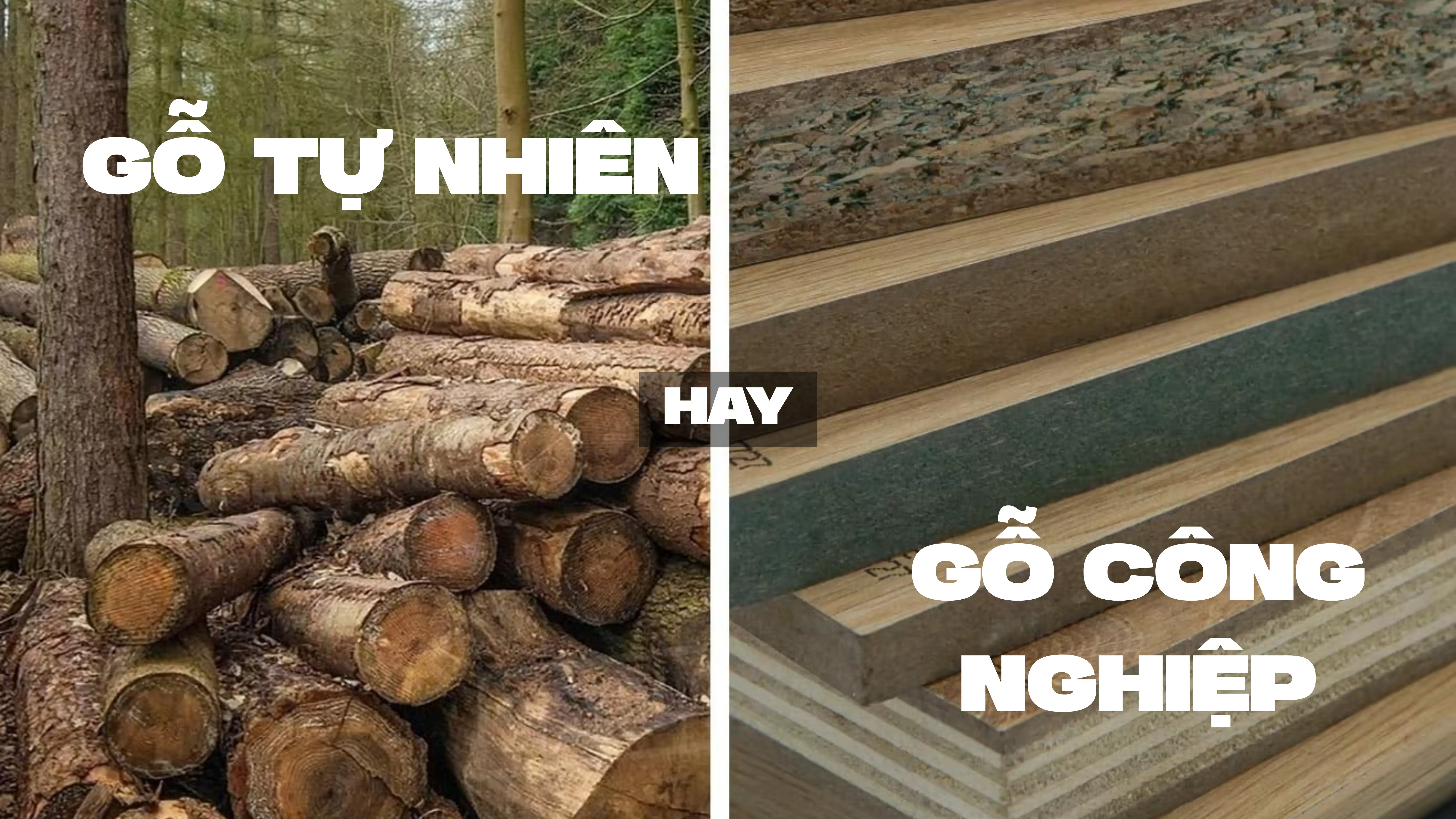Nên chọn gỗ tự nhiên hay gỗ công nghiệp? | B.A Decor